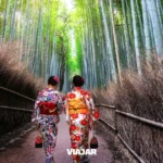 Turistas en los bosques de Bambú japoneses