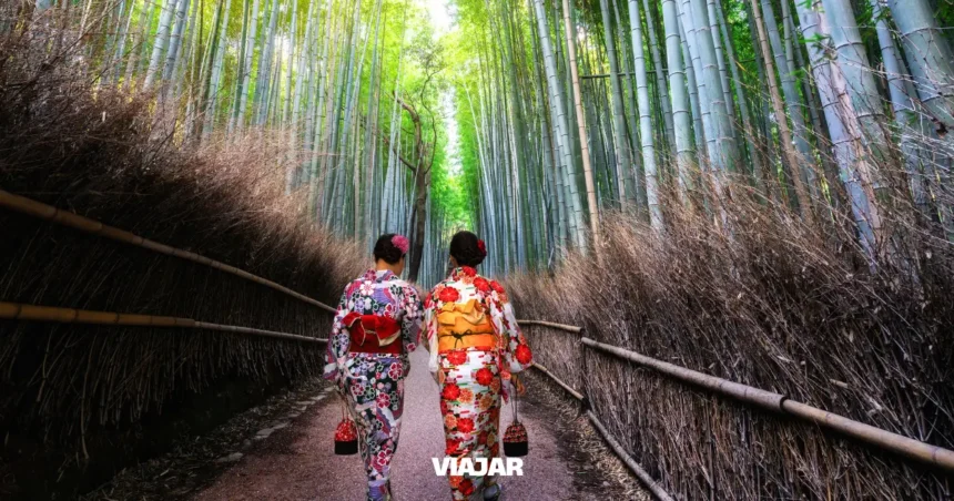 Turistas en los bosques de Bambú japoneses